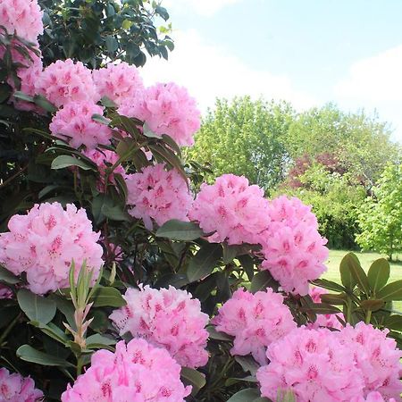 Le Clos Des Roses Saint-Règle Eksteriør billede